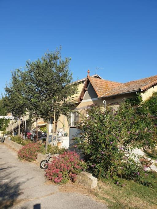 St Remy De Provence, La Maison Du Berger * Saint-Andiol